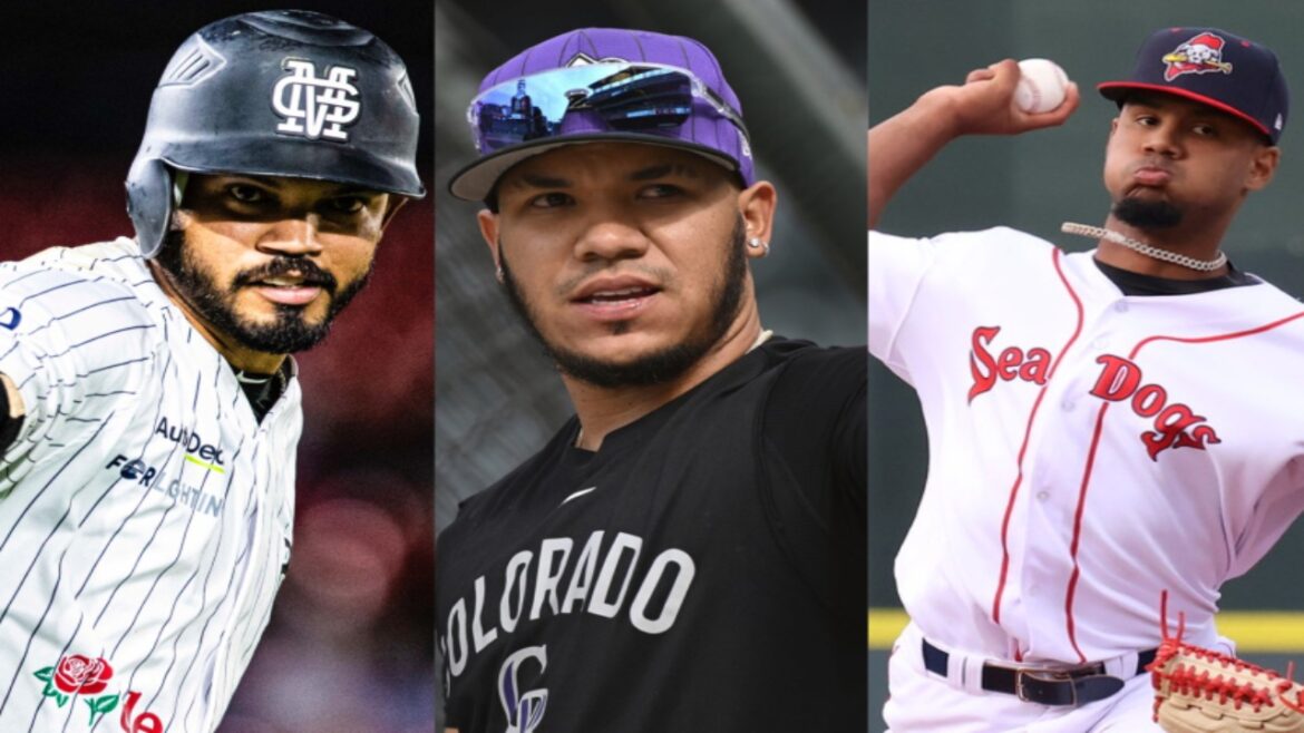 Tigres y Magallanes Lvbp